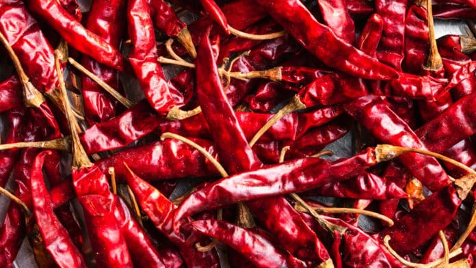 Découvrez le piment le plus épicé au monde : carolina reaper